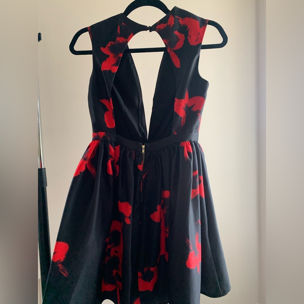 Luxe Fabric Plunge V Neck Dress